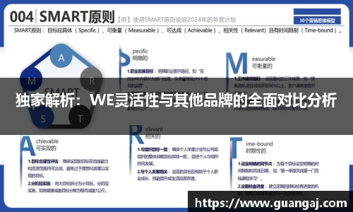 独家解析：WE灵活性与其他品牌的全面对比分析