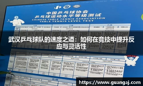 武汉乒乓球队的速度之道：如何在竞技中提升反应与灵活性