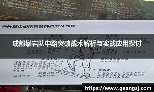 xk体育