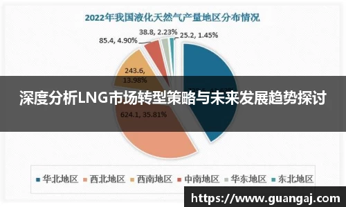 深度分析LNG市场转型策略与未来发展趋势探讨