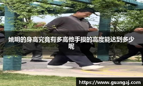 姚明的身高究竟有多高他手摸的高度能达到多少呢