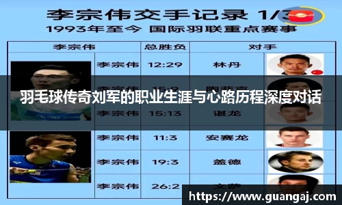 羽毛球传奇刘军的职业生涯与心路历程深度对话